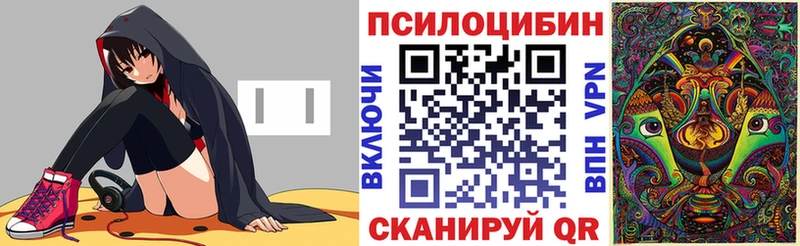 где купить наркотик  ОМГ ОМГ зеркало  Галлюциногенные грибы Psilocybe  Судогда 