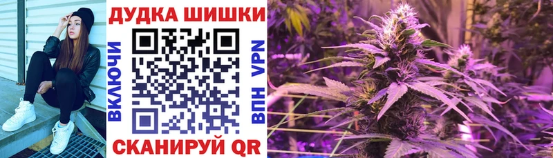 Шишки марихуана сатива  shop телеграм  Судогда  цена   omg ссылка 